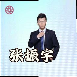 张振宇